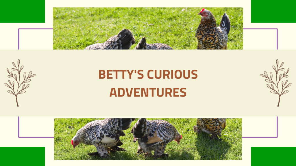 Betty's Curious Adventures