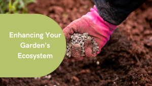 Enhancing Your Garden's Ecosystem